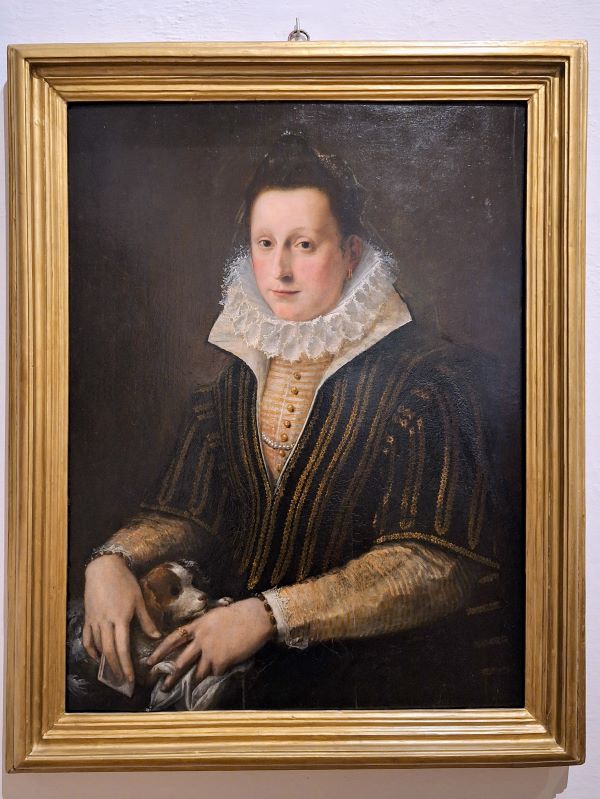 Lavinia Fontana nella Pinacoteca di Siena con un dipinto dal titolo "Ritratto di dama con cagnolino
