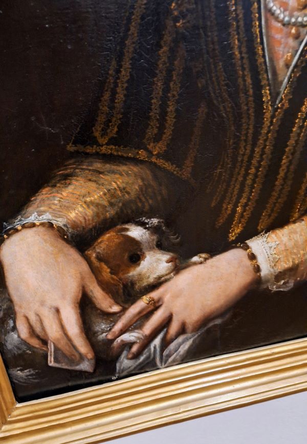 Dettaglio sulle mani del ritratto di dama con cagnolino di Lavinia Fontana-Pinacoteca di Siena