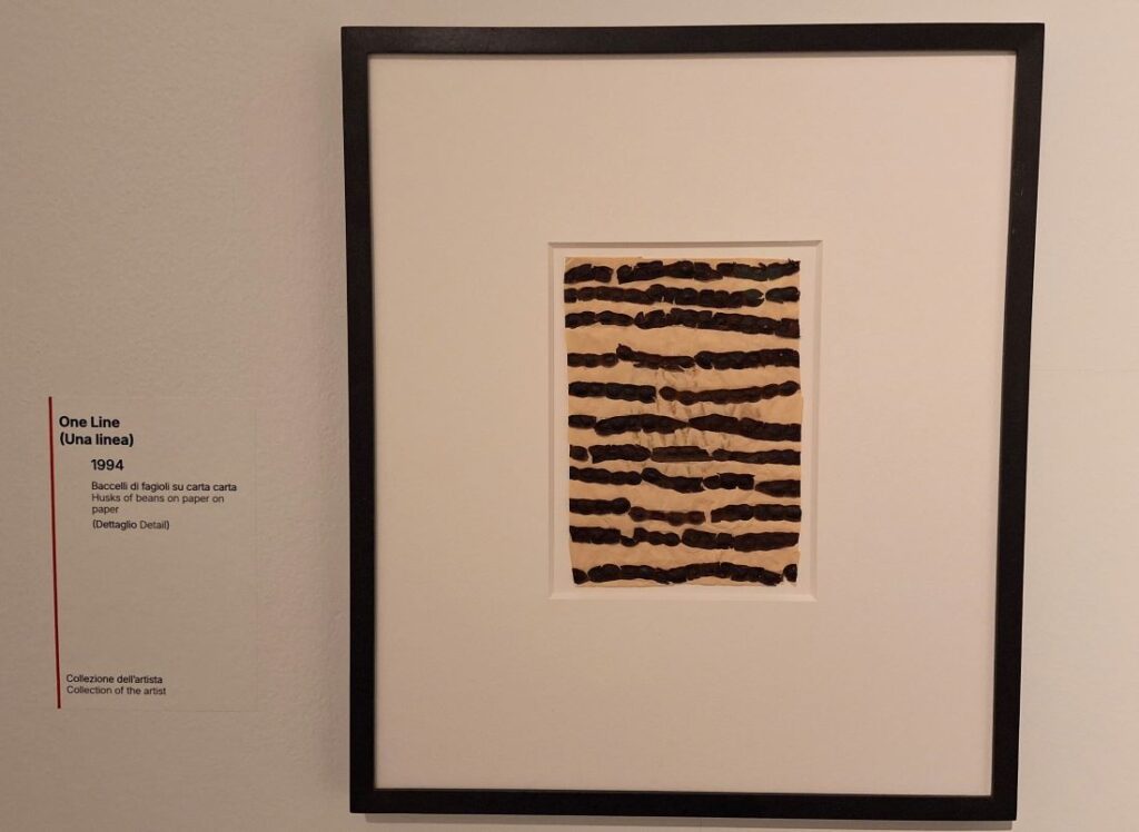 One line, dettaglio 1994, Chiharu Shiota