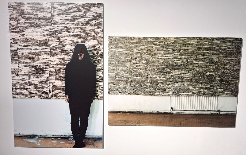 "One Line" 1994, di Chiharu Shiota, al MAO di Torino