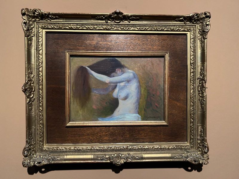 Una donna nell'intimità che si pettina i lunghi capelli e con il corpo semi nudo
